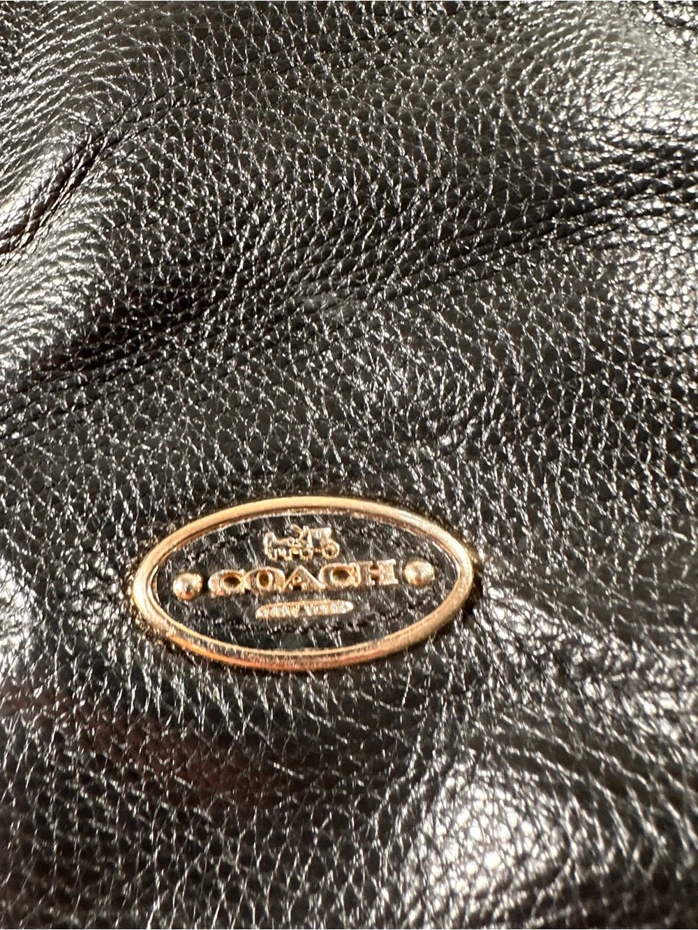 Coach Isabelle Hobo Black Pebbled Leather Crossbody Handbag Retro Y2K Gothcore